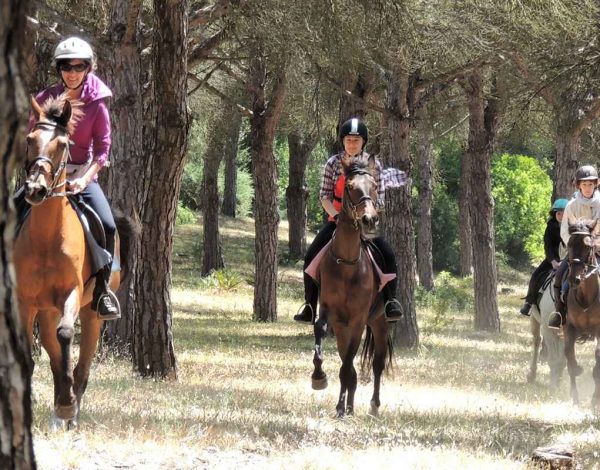 Equestrian Vacations in Europe