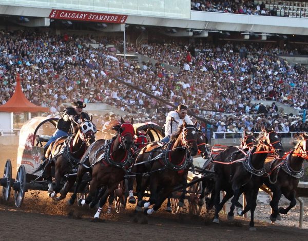 Calgary Stampede- Canada