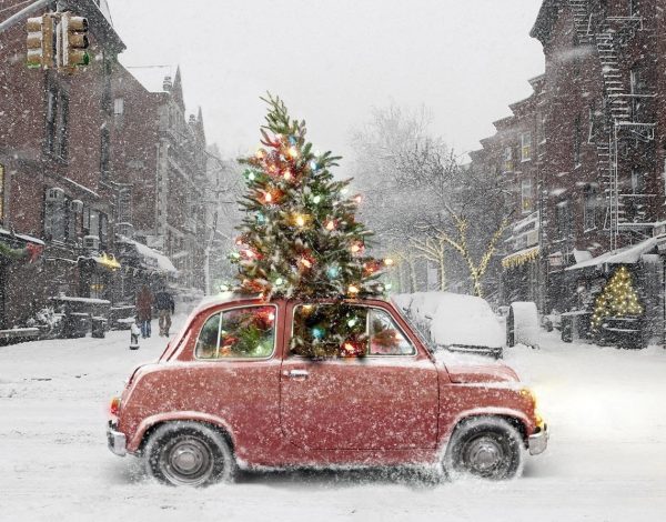 Pro Tips for the Holiday Traveler